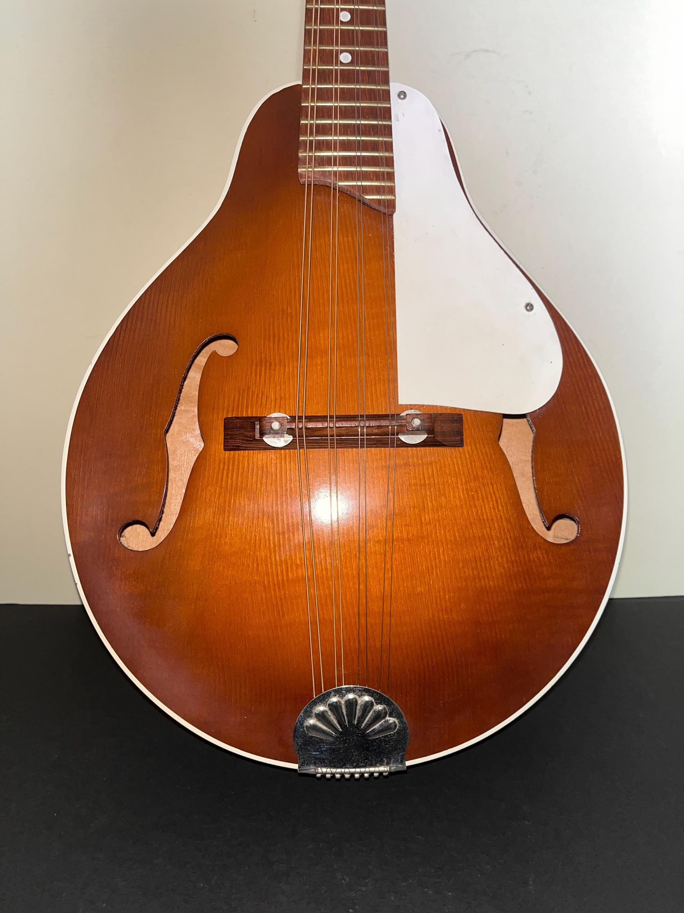 1960's Collectible Kay Mandolin